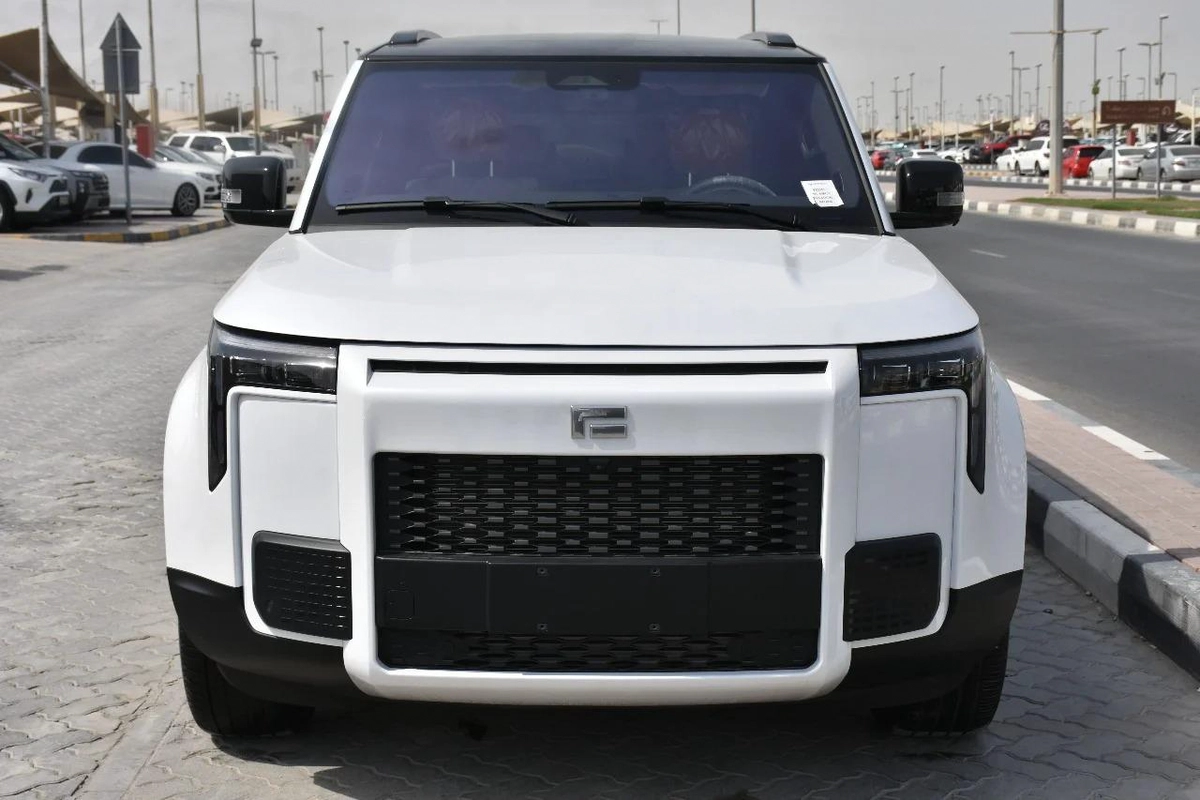 ROX 01 SEVEN SEATS PHEV 2025 | WHITE-10-10