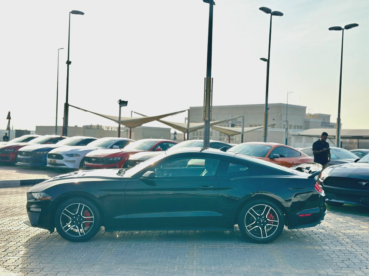 2022 Ford Mustang Ecoboost-8-8