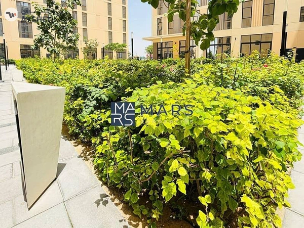 Brand New 1BHK in Al Mamsha – Move In Today!