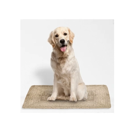 Raymond Natural Jute Rug Eco Friendly Area Rugs for Bedroom-2
