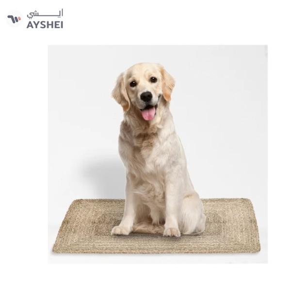 Raymond Natural Jute Rug Eco Friendly Area Rugs for Bedroom