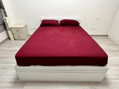 Eco Bed-2