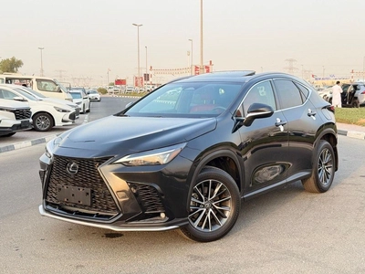 Lexus NX350 PREMIER-12