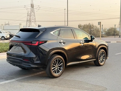 Lexus NX350 PREMIER-3