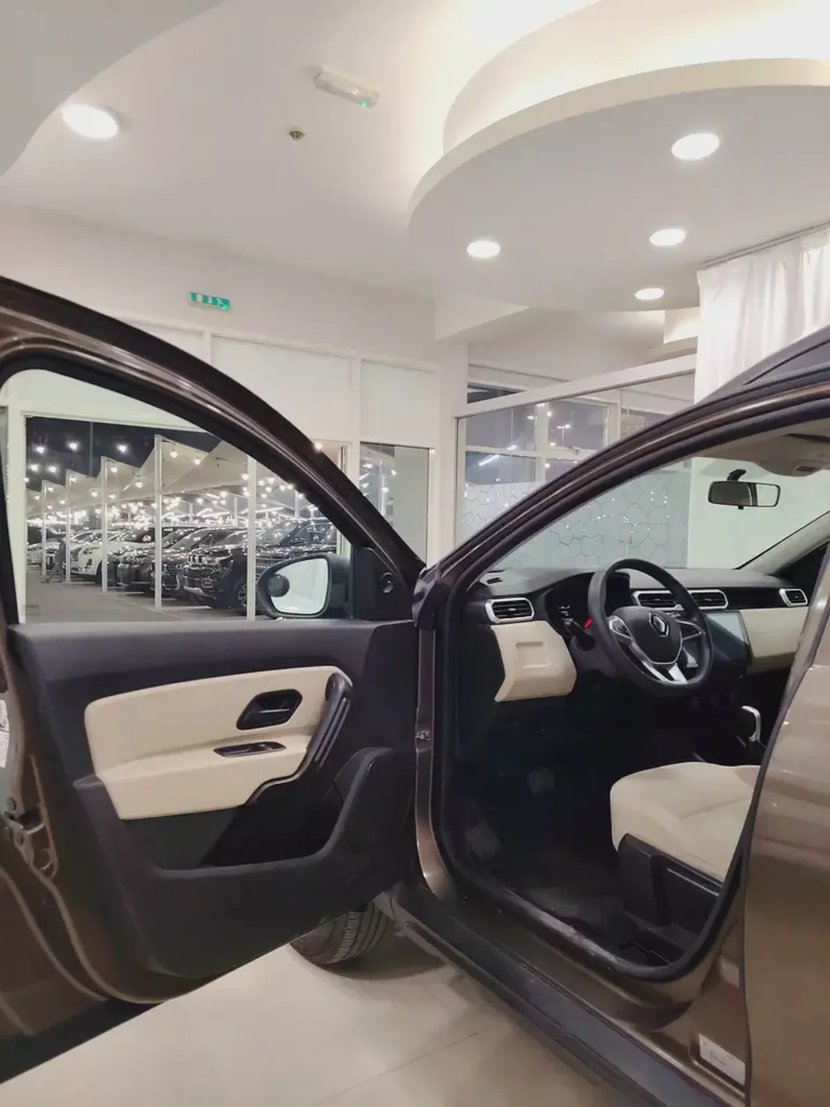Renault Duster 2020 Comfort GCC Specs-6-6