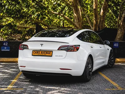 AED 1,068 PM | Under Tesla Warranty | GCC | Standard Plus-2