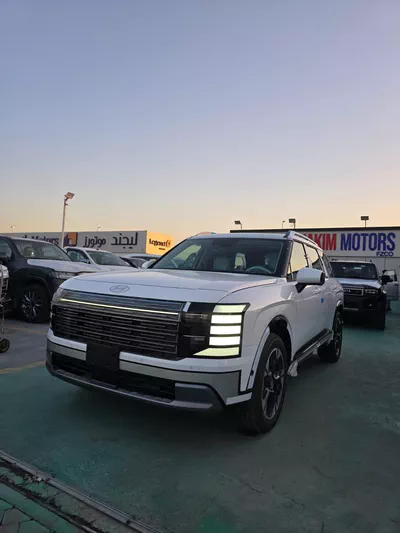 HYUNDAI PALISADE LUXURY-0