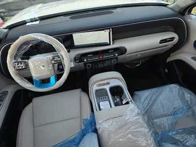 HYUNDAI PALISADE LUXURY-6
