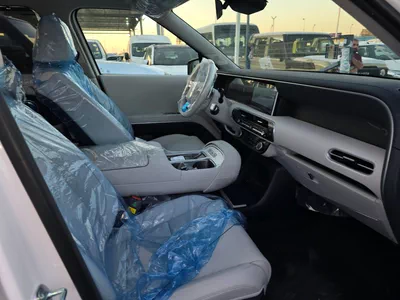 HYUNDAI PALISADE LUXURY-7
