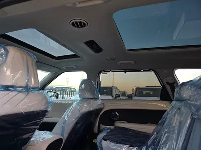 HYUNDAI PALISADE LUXURY-1