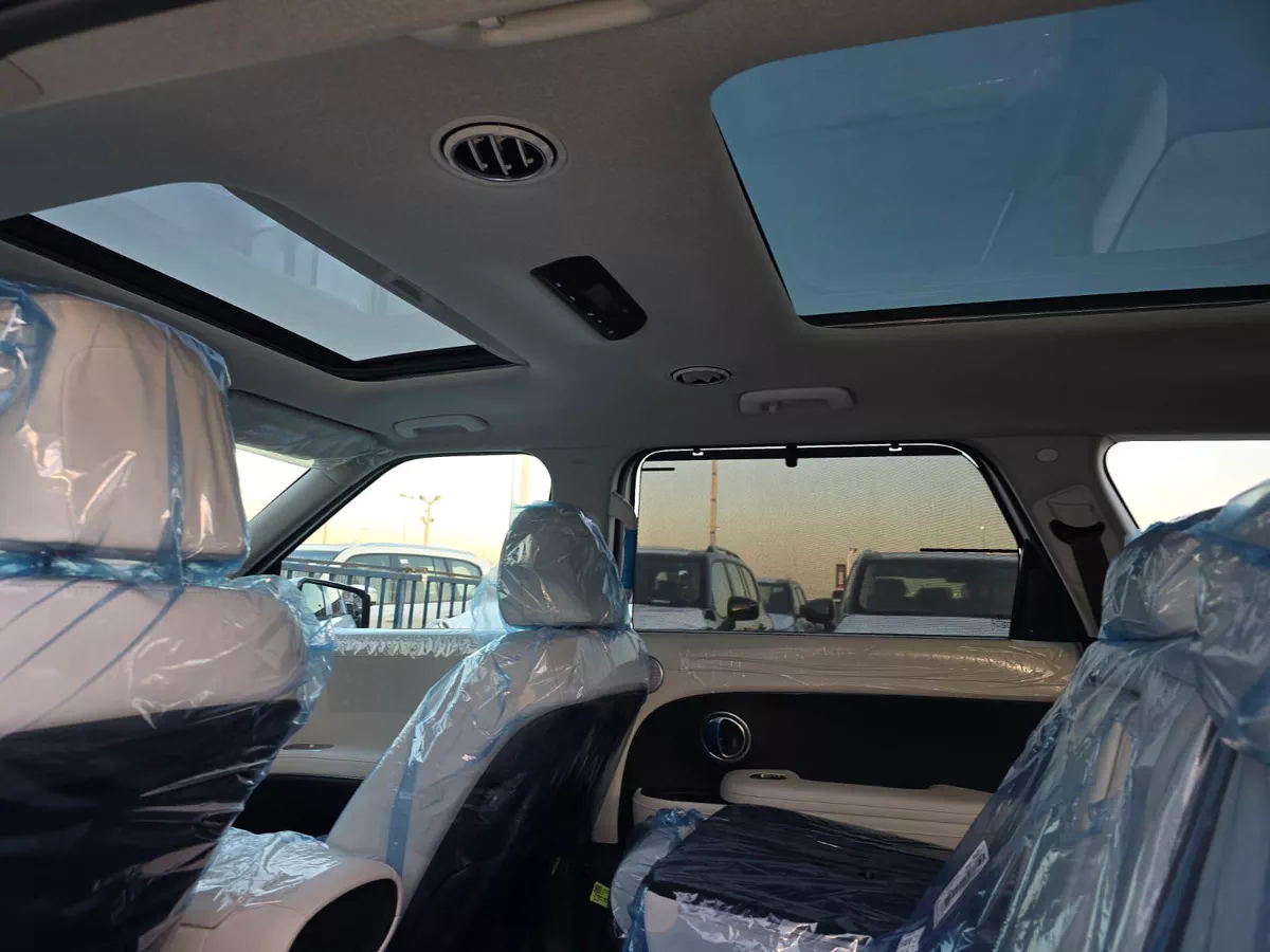 HYUNDAI PALISADE LUXURY-1-1