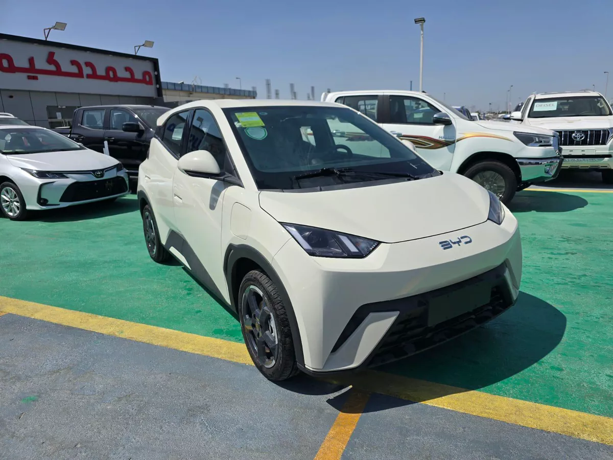 2026 BYD Seagull – Compact Urban Electric Hatchback-1-1