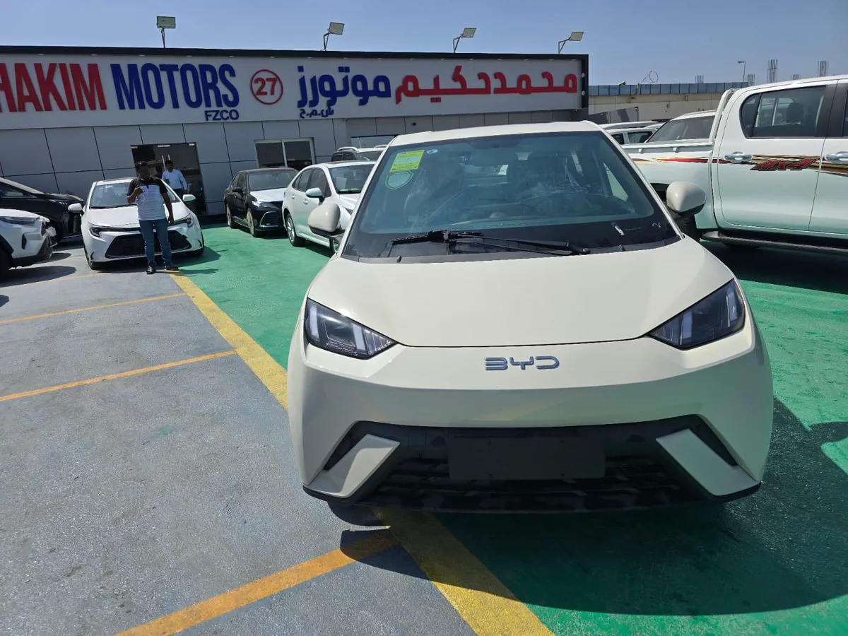 2026 BYD Seagull – Compact Urban Electric Hatchback-8-8