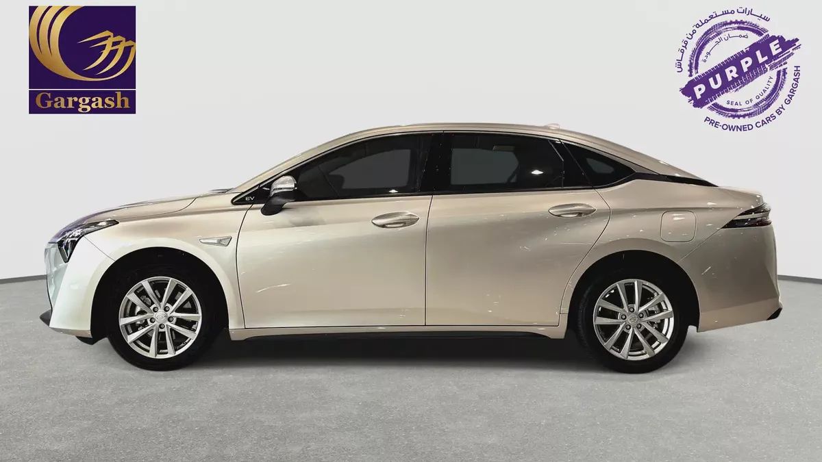 GAC | Electric | AION ES | 2026 | Gargash Warranty | Service History-2-2