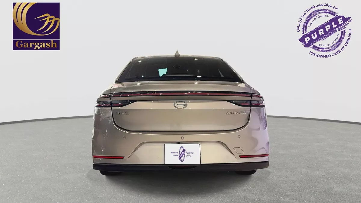 GAC | Electric | AION ES | 2026 | Gargash Warranty | Service History-4-4