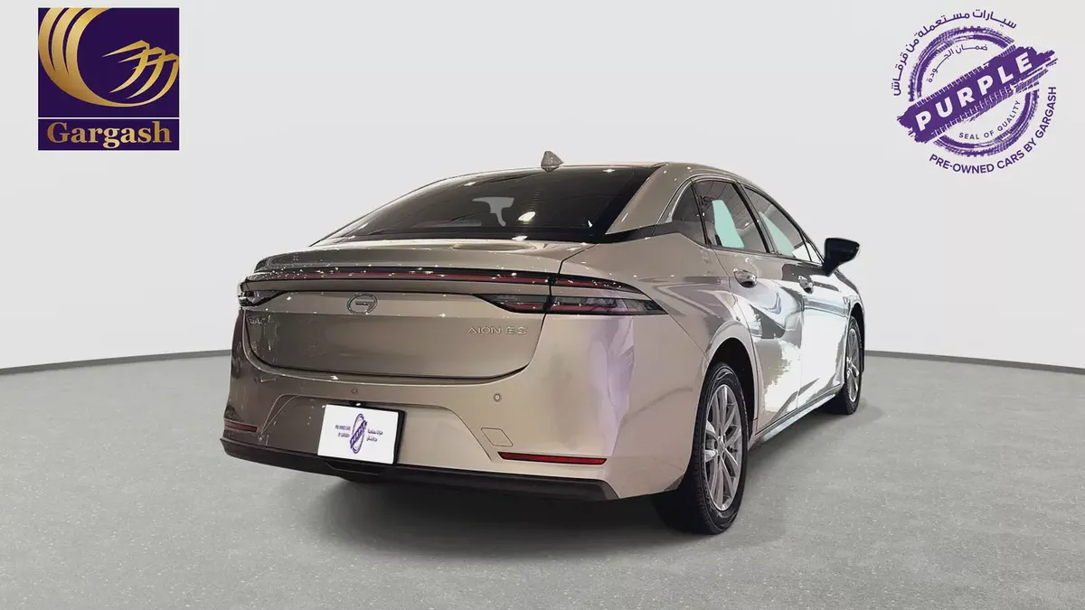 GAC | Electric | AION ES | 2026 | Gargash Warranty | Service History-5-5