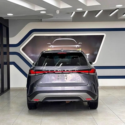 2023 Lexus Rx-350 hybrid Platinum-11