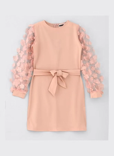 HASHQLO Flower Embellished Full Sleeve Short Dress Pink-0