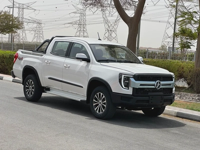 Dayun V5 2025 0km  Under warranty-0