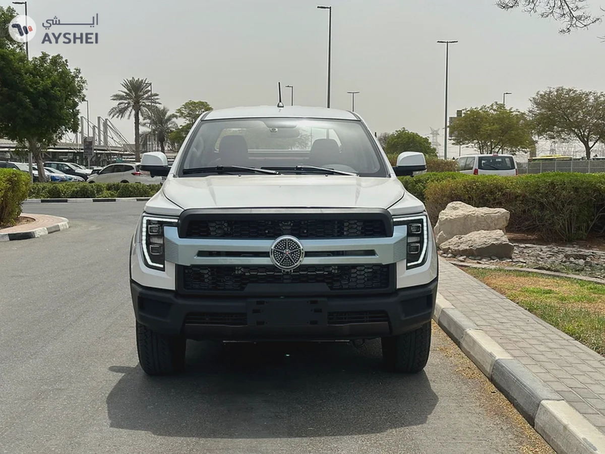 Dayun V5 2025 0km  Under warranty-1-1
