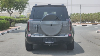 ROX 01 with Advanced Autopilot-12