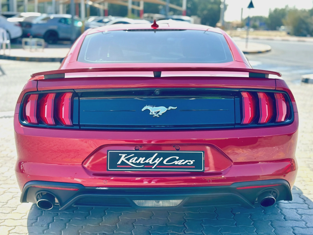 2023 Ford Mustang Ecoboost Premium FastBack - # 02504-1-1