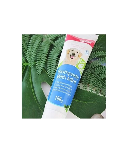 Bioline Tooth Paste Mint Flavour 100G, White-1