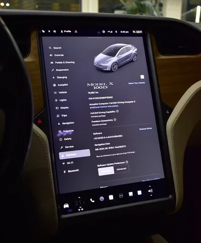 Tesla Model X 100D - Long Range ( 2019 M...-11