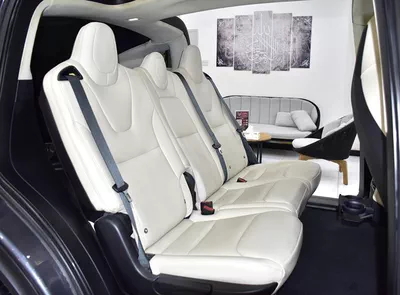 Tesla Model X 100D - Long Range ( 2019 M...-14