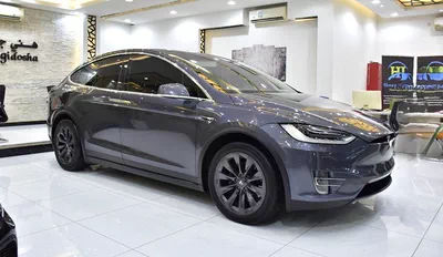 Tesla Model X 100D - Long Range ( 2019 M...-12