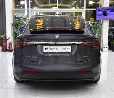 Tesla Model X 100D - Long Range ( 2019 M...-6