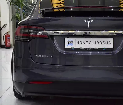 Tesla Model X 100D - Long Range ( 2019 M...-13