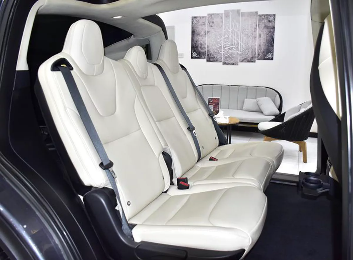 Tesla Model X 100D - Long Range ( 2019 M...-14-14