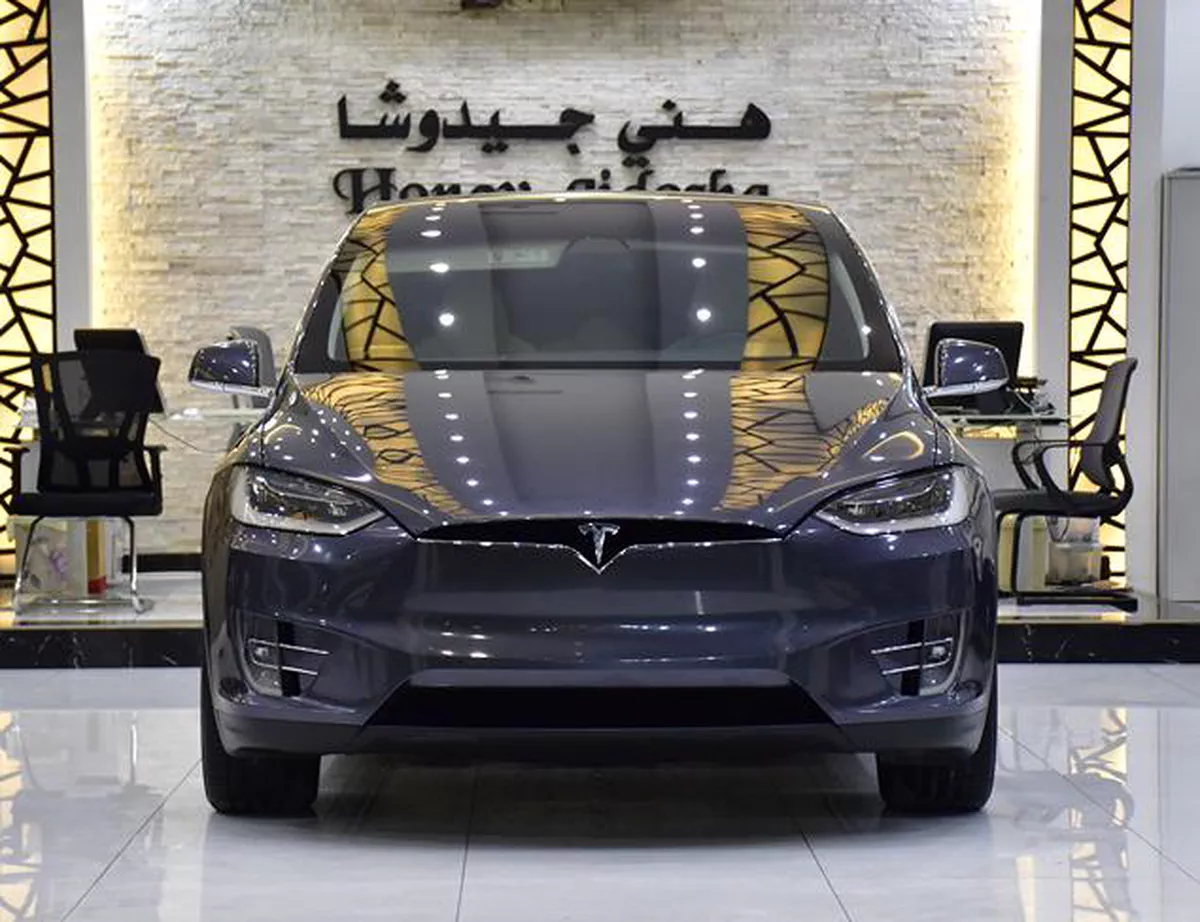 Tesla Model X 100D - Long Range ( 2019 M...