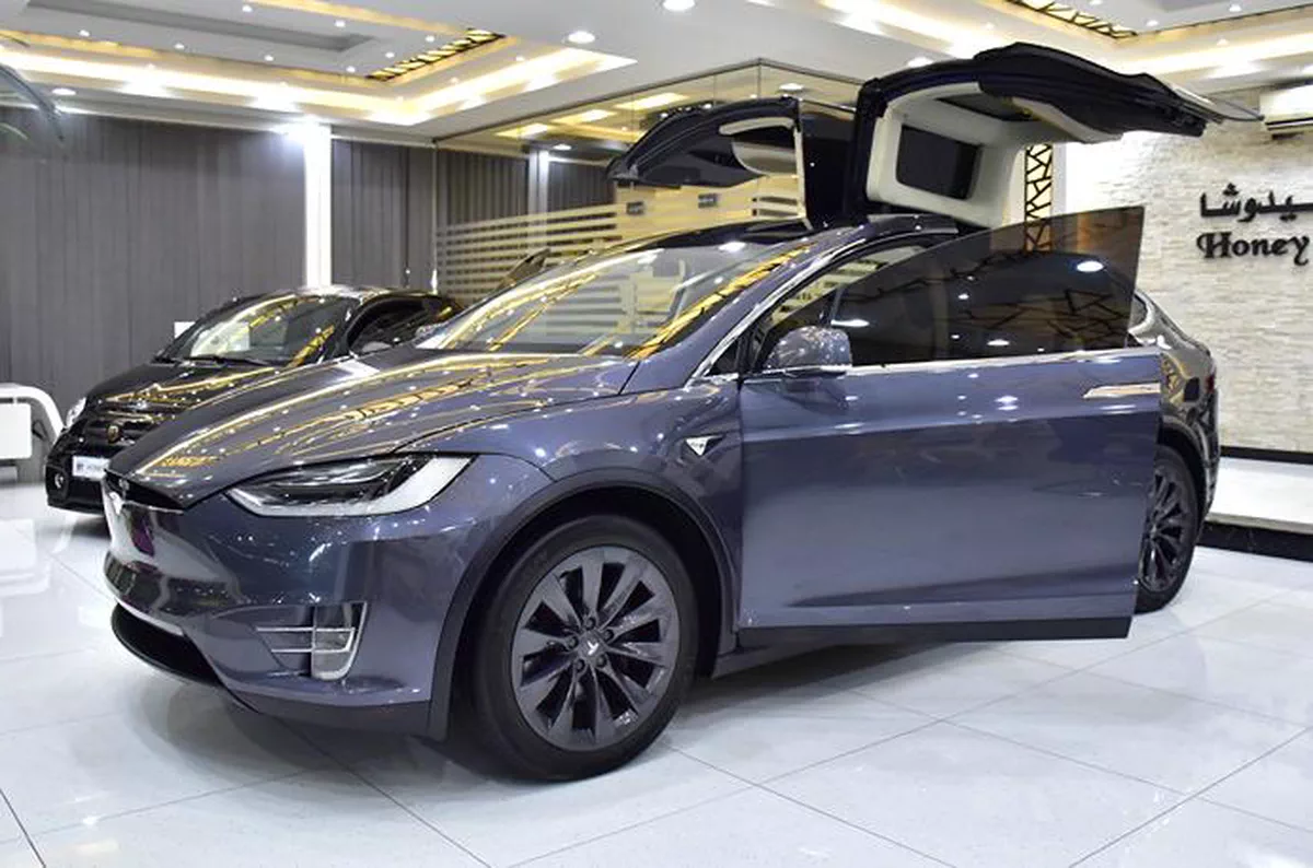 Tesla Model X 100D - Long Range ( 2019 M...-1-1