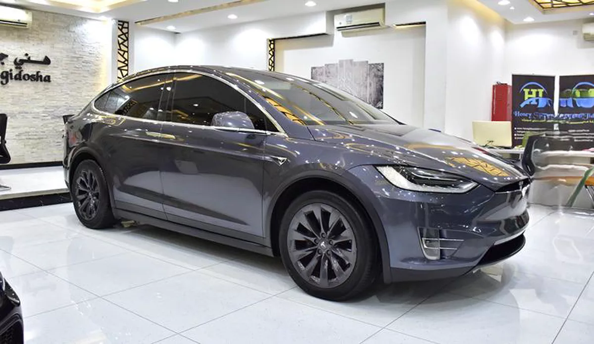 Tesla Model X 100D - Long Range ( 2019 M...-12-12