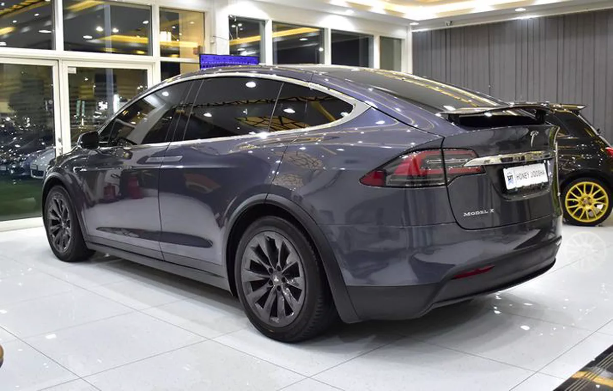Tesla Model X 100D - Long Range ( 2019 M...-8-8