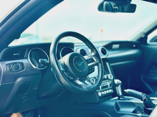 2021 Ford Mustang Ecoboost - # 34201