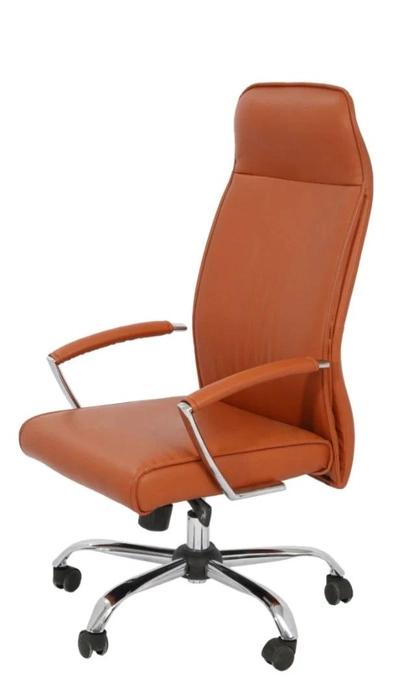 Dolphin High Back Office Chair-0