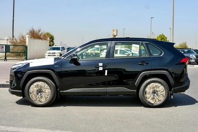TOYOTA RAV4 XLE HYBRID-22