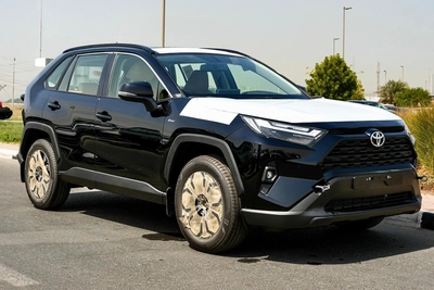 TOYOTA RAV4 XLE HYBRID-6