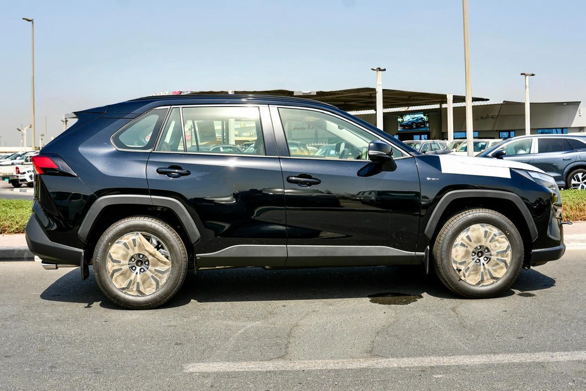 TOYOTA RAV4 XLE HYBRID-19-19