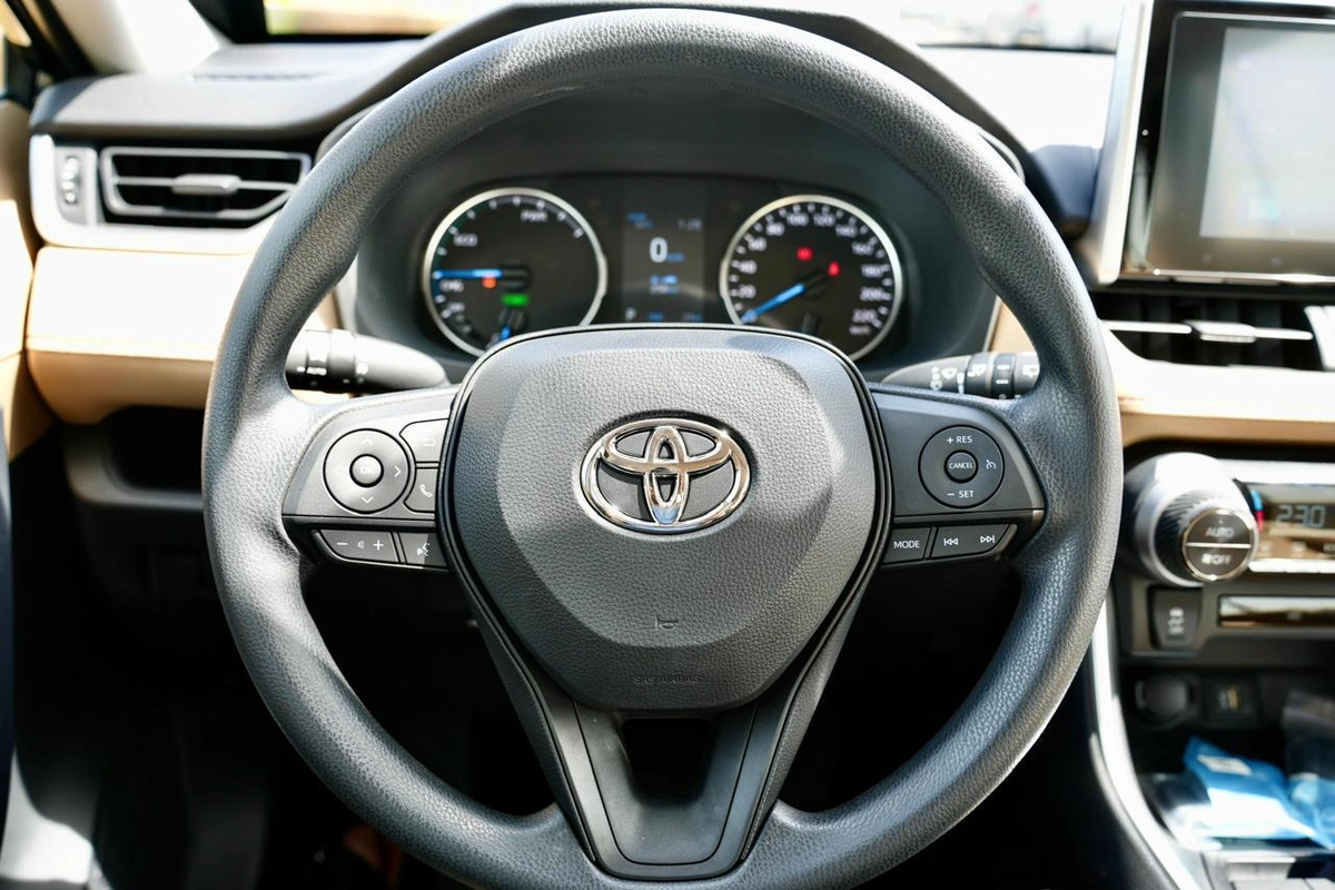 TOYOTA RAV4 XLE HYBRID-17-17