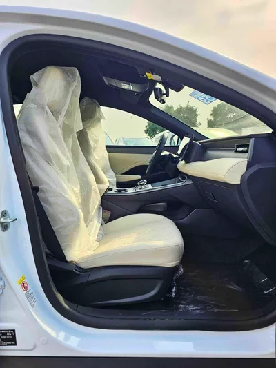 BYD QIN PLUS STD DMI 55 KM PLUG IN HYBRID/ 1.5L V4 PETROL / DVD +CAMERA / PUSH START / LEATHER SEATS (CODE # QINPDMI)-8