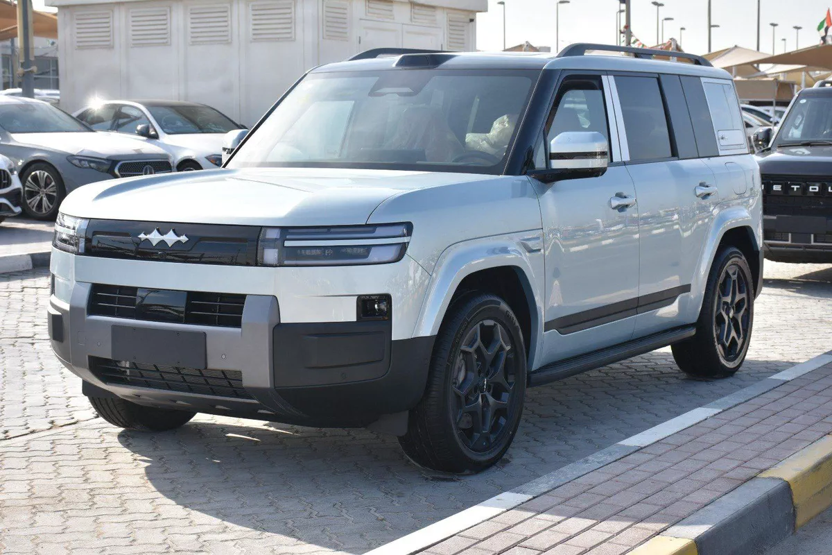 BYD LEOPARD 7 2025 | SILVER LIKE-9-9