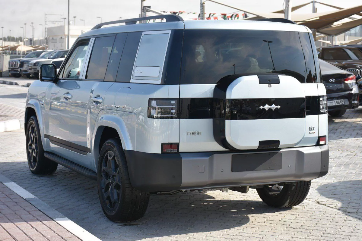 BYD LEOPARD 7 2025 | SILVER LIKE-8-8