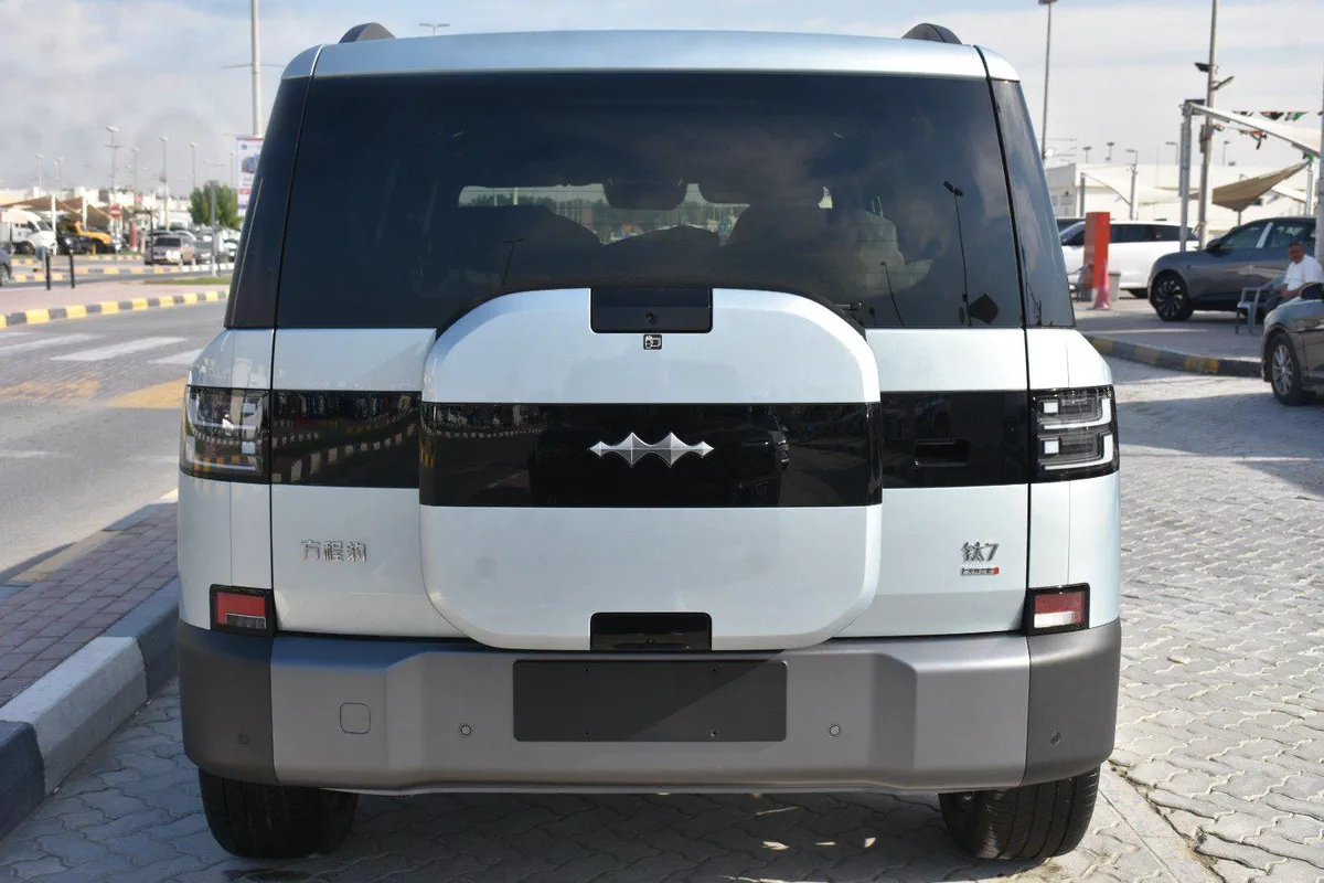 BYD LEOPARD 7 2025 | SILVER LIKE-4-4