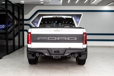 Ford F-Series Pickup Raptor-9