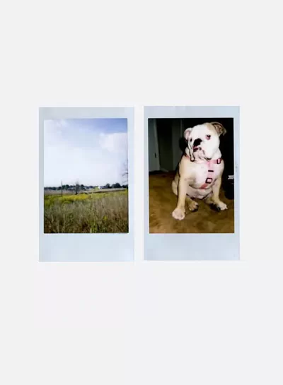FUJIFILM Instax Mini Instant Film Pack Of 5 x 10 Sheets White-3