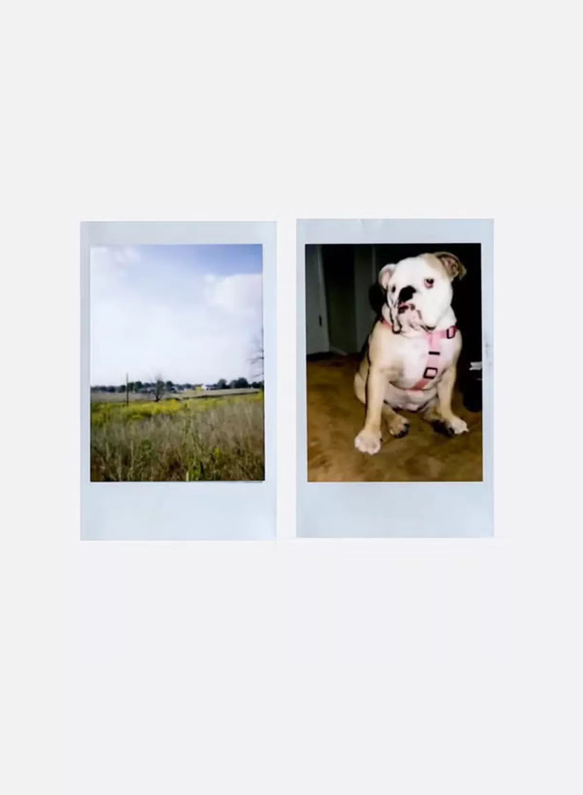 FUJIFILM Instax Mini Instant Film Pack Of 5 x 10 Sheets White-3-3